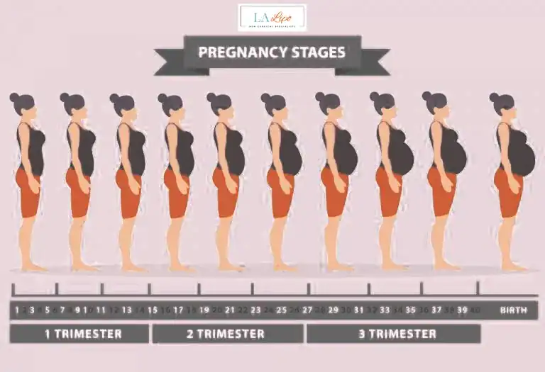 First Trimester (Weeks 1–12): Early Changes You Might Not Notice Braintree